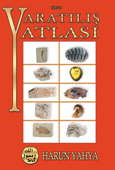 Yaratılış Atlası - 1